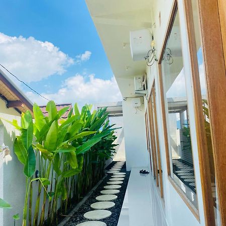 D Khaylas Kintamani المظهر الخارجي الصورة